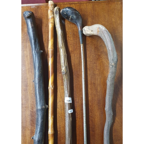 820 - A good quantity of Vintage Walking Sticks and Staffs to include a golf club.