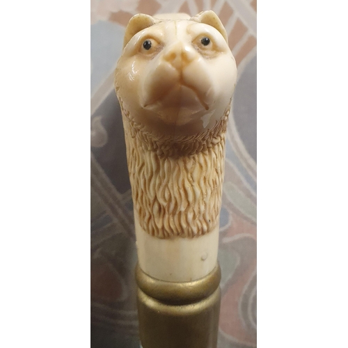 904 - A Brass mounted Mahogany Walking Stick with wood carved top in the form of a bear head with brass co... 