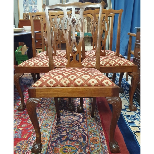 994 - A good set of eight. (6 + 2) 20th Century Mahogany Chippendale style Chairs with pierced backs and c... 