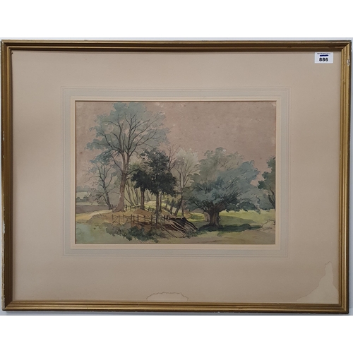 886 - A 20th Century woodland Watercolour.