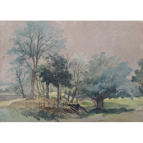 886 - A 20th Century woodland Watercolour.