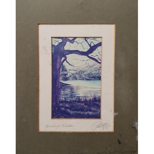 904 - A mixed group of Pictures, Watercolours, Engravings and Prints.