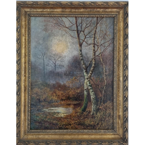 323 - A 19th Century Oil on Canvas of a forest scene at dusk. Indistinctly signed S Schubert LL. 60 x 44cm... 