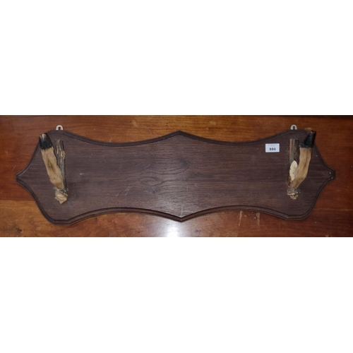 457 - An unusual Coat Stand with shield shaped back. 80 x 23  cm approx.