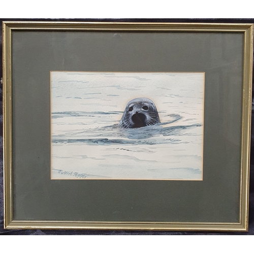 50 - Herbert Pepper. Three Watercolours of Animals to include a pair of rabbits a seal and an otter. Sign... 