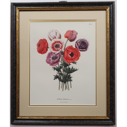 347 - An attractive Print of flowers in a good mount and frame. H 50 x W 42 cm approx.