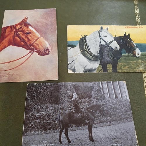 36 - A good quantity of vintage Postcards to include animals.