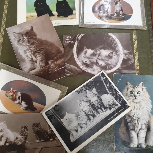 36 - A good quantity of vintage Postcards to include animals.