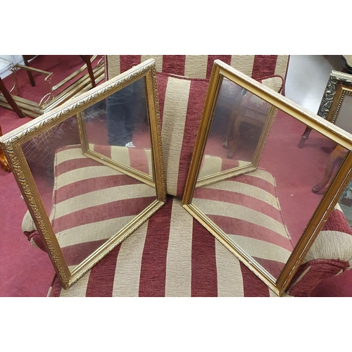 487 - Two Gold rectangular Mirrors.
H 53 x W 40 cm approx.