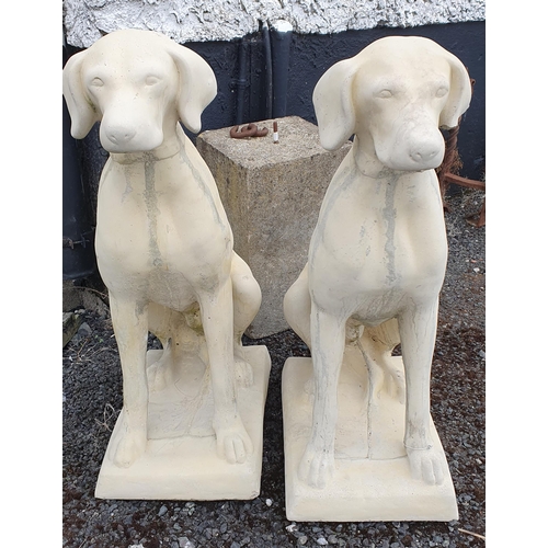 494 - A pair of Stone Hounds.
H 74 cm approx.