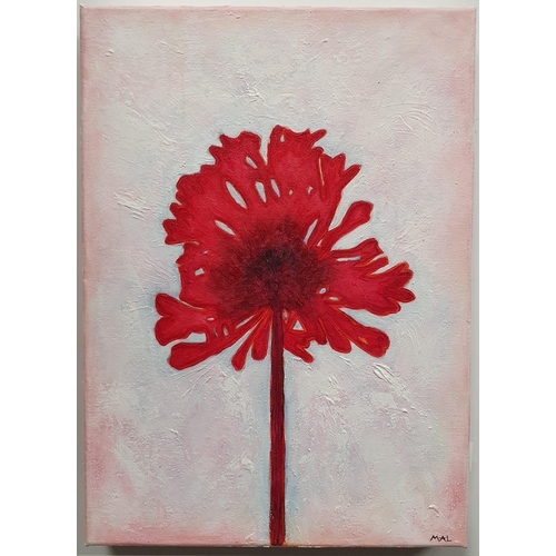 480 - M A Lawlor 'Bloom' Oil on Canvas, signed and titled verso. 25 x 35 cm approx.