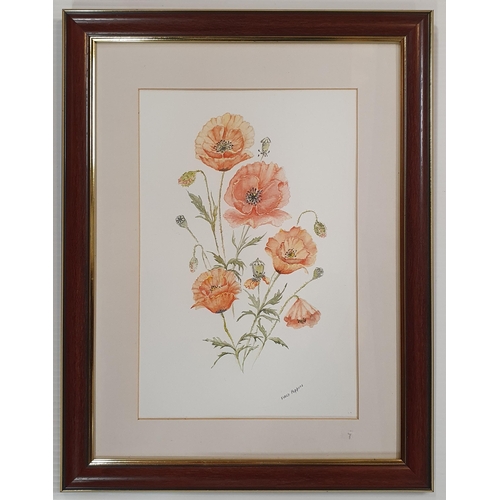 907 - Two 20th Century Watercolours Still Life of poppies by J Wells, one signed. 30 x 20 cm approx.