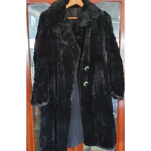 389 - A Vintage sheared Beaver Coat.