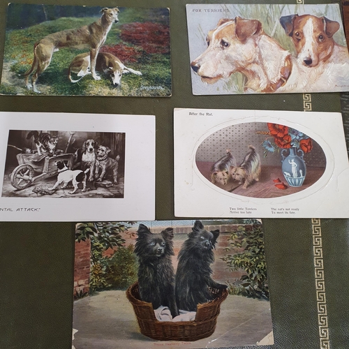 36 - A good quantity of vintage Postcards to include animals.