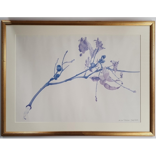 72 - Patricia Jorgenson. A pair of limited edition coloured Prints still life. Signed in pencil LR. 8/500... 