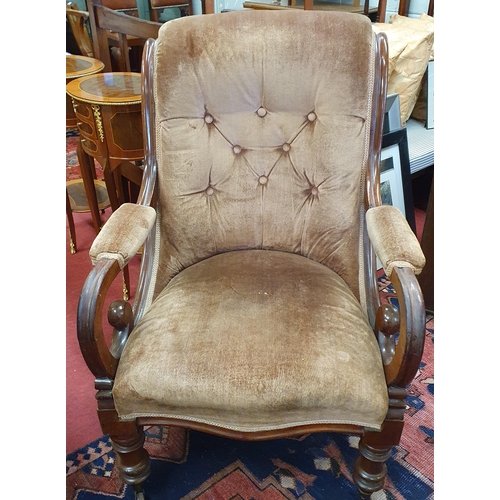 75 - A 19th Century Mahogany show frame Armchair with scroll arms. W67 x SH33 x BH94cm approx.