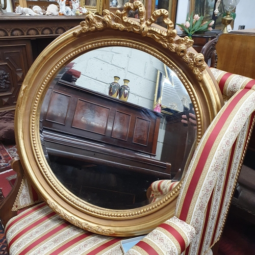 186 - A good Timber Plaster Gilt circular Mirror with highly carved cartouche top and bevelled glass.
 D 6... 