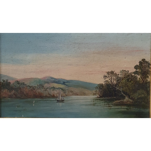 207B - 19th Century English School; An Oil On Canvas of a small loan boat on a lake, indistinctly signed LR... 