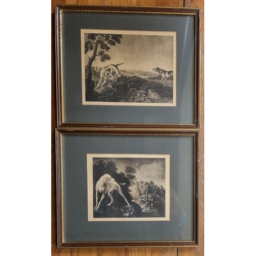 216 - A good set of five 19th Century Prints of hunting dogs. 26 x 30 cm approx.