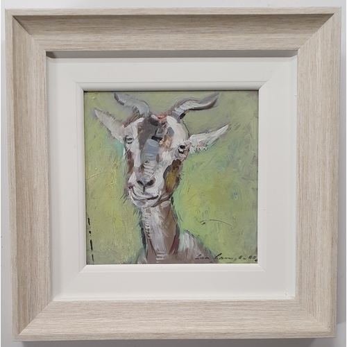 263 - Con Campbell. 'Goat'. An Oil on Board.
H 20 x W 20 cm approx.