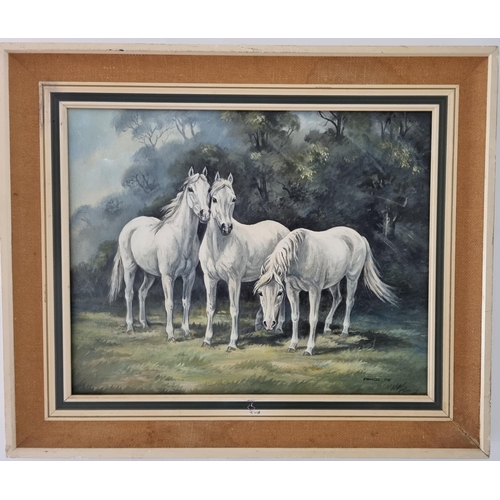 268 - A 20th Century Oil on Canvas of Horses by Francis Fry. Signed LR. 40 x 50cm approx.