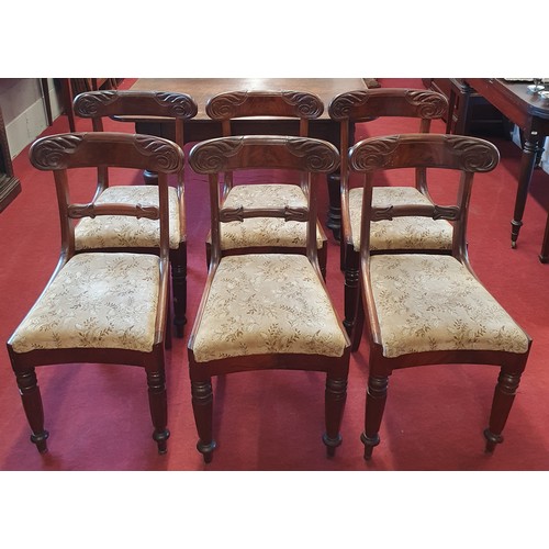 298 - A good set of six William 1Vth Mahogany Dining Chairs with highly carved backs on turned supports.
H... 