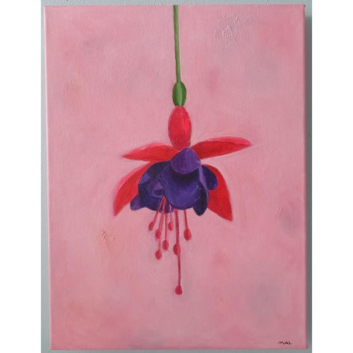 481 - M A Lawlor ' Fuchsia' Oil on Canvas, monogramed front with signature and titled verso. H 40 x 30 cm ... 