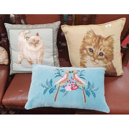 17 - A good quantity of Cat Cushions along with a bird cushion.