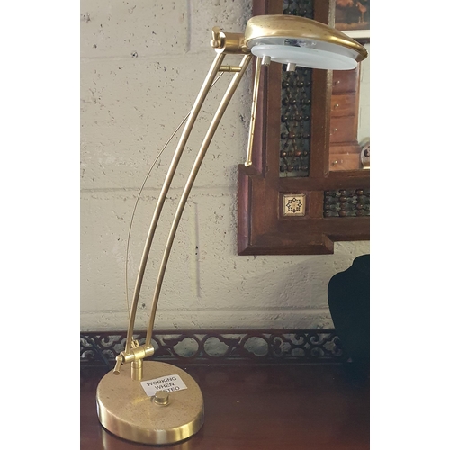 59 - A Brass Desk Light.