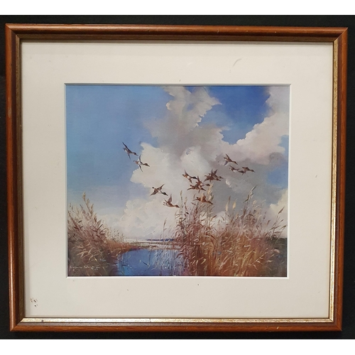 586 - Two Vernon Ward coloured Prints of Ducks landing.
43 x 53, 31 x 29 cm approx.