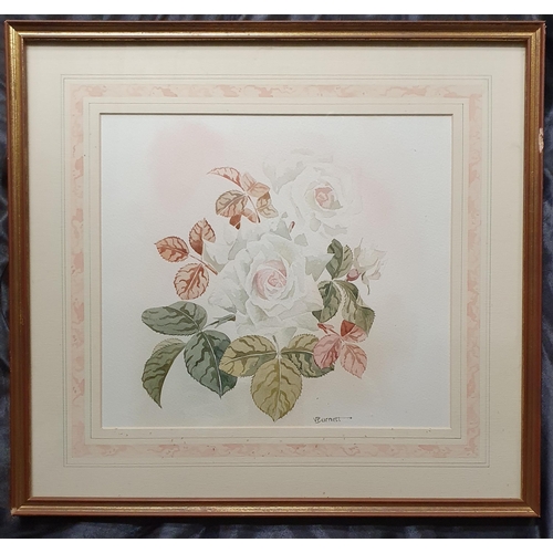 11 - A well mounted 20th Century Watercolour still life of Roses. Signed Burnett LR. 27 x 29 cm approx.
