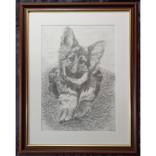 112 - Two good prints of animals, one of horses and one of an Alsatian pup. 57 x 45 cm approx.