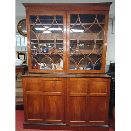 120 - A Magnificent pair of late 19th Century Satinwood two door Library Bookcases with reeded glazed pane... 