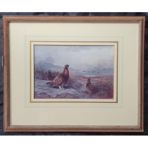 140 - After Archibald Thornburn. A coloured Print of grouse along with a coloured print of a Curlew. 39 x ... 