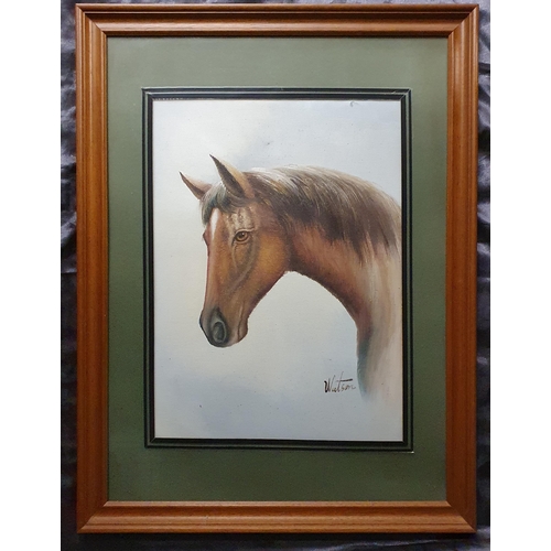 161 - A 20th Century Oil of a horses head. Signed Watson. 42 x 30 cm approx.