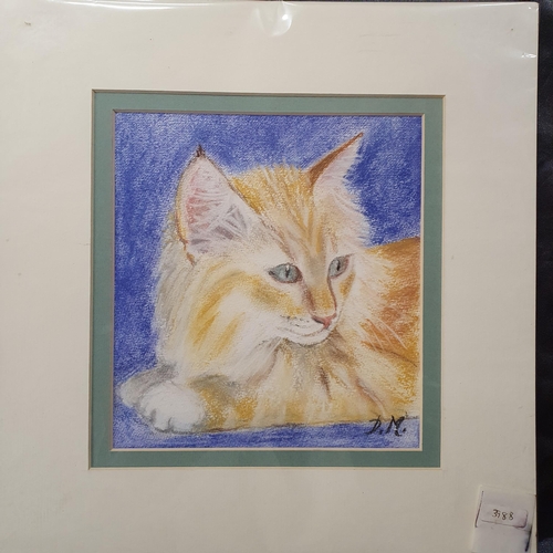 215A - D Marshall. Three Pastel Pictures of Cats. Monogrammed LR. 18 x 19 cm approx.