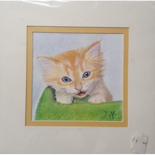 215A - D Marshall. Three Pastel Pictures of Cats. Monogrammed LR. 18 x 19 cm approx.