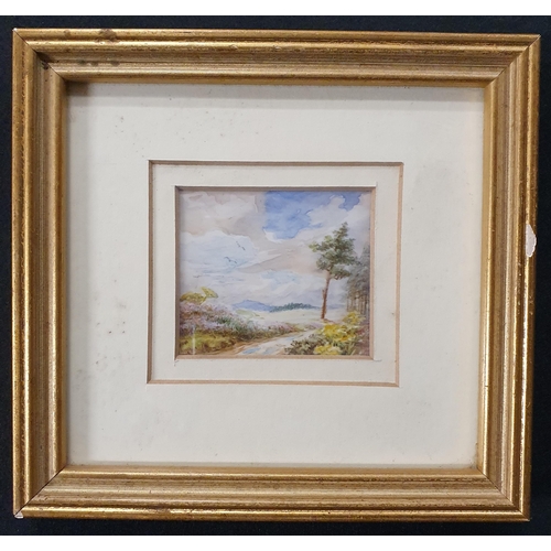 226 - A 20th Century Watercolour on Card of a moorland scene. No apparent signature. 5.5 x 6.5 cm approx.