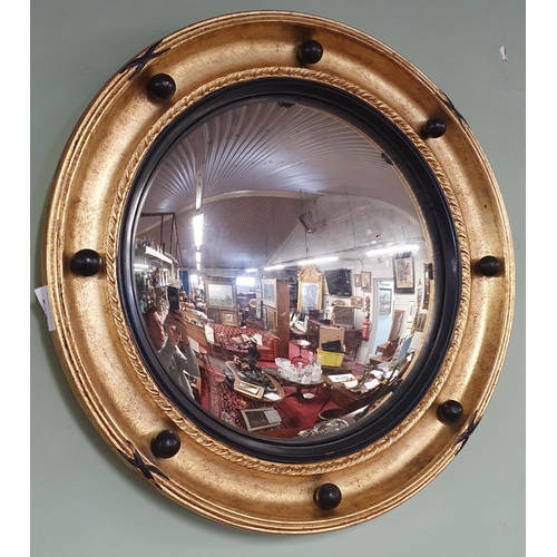 237 - A good Timber Gilt Convex Mirror. D 47 cm approx.