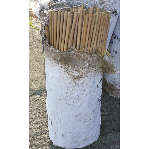 1564 - A Bundle of Bamboo canes 300 approx @ 90 cm length  approx .