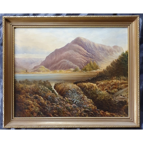 658 - A 19th Century Oil on Canvas of a mountainous landscape. No apparent signature. 40 x 50 cm approx.