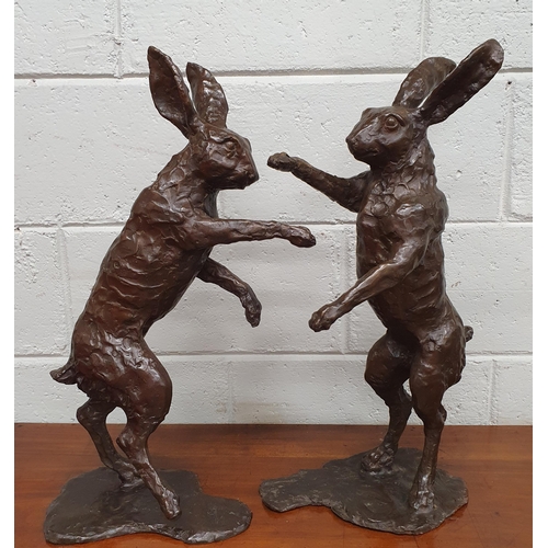 844 - A fabulous pair of Bronze boxing Hares. No apparent signature. H 60 cm approx