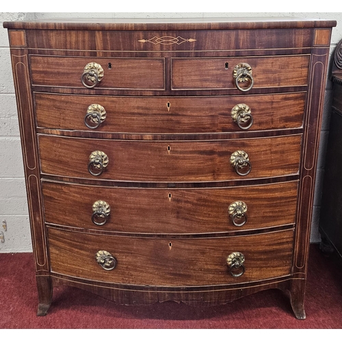 79 - A Regency Mahogany bowfronted Chest of Drawers/Tallboy with original ring handled front.
118 x 56 x ... 