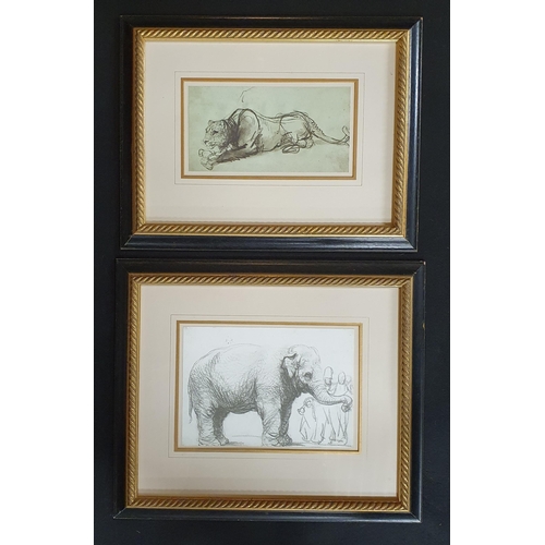 532 - Two well framed coloured Prints of Animals. 34 x 44, 39 x 45 cm approx.