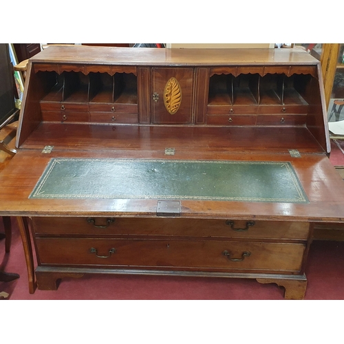 539 - A really good early 19th Century Bureau with fully fitted interior and shell inlaid door.
H 136 x 10... 