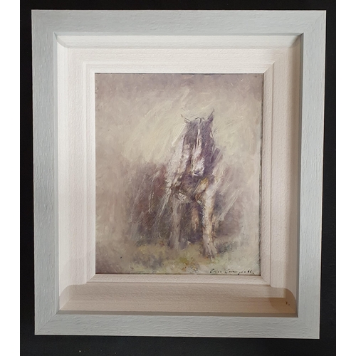 799 - Con Campbell.(Irish) 'Island Pony'. Oil on Board, Signed LR. H 30 x 24 cm approx.