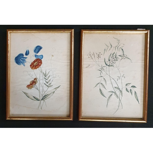 890 - A group of 20th Century Watercolours and Engravings of flowers. H 26 x 16 cm approx.