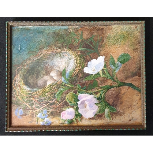 215 - A really good late 19th Century Watercolour still life of eggs in a nest with flowers to the fore. N... 