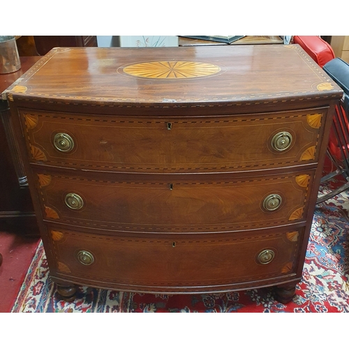 220 - Of Superb quality. A 19th Century Mahogany and Inlaid bowfront Chest of Drawers with ring handles. 9... 