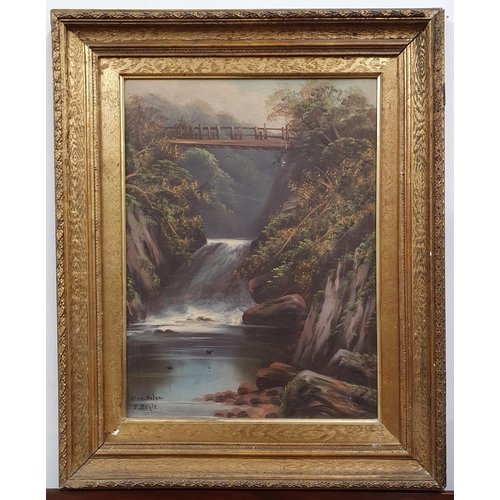 295 - A good pair of 19th Century Oils on Board depicting river waterfall scenes. 'Glenellin' and 'Mount L... 